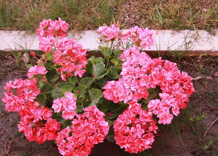 شقة فندقية Parla