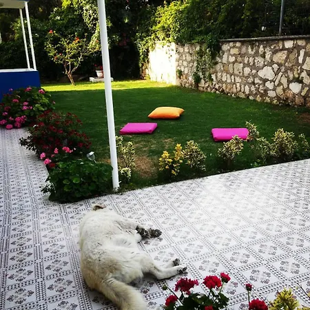 Parla Cesme
